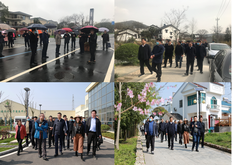 乡村振兴现场考察